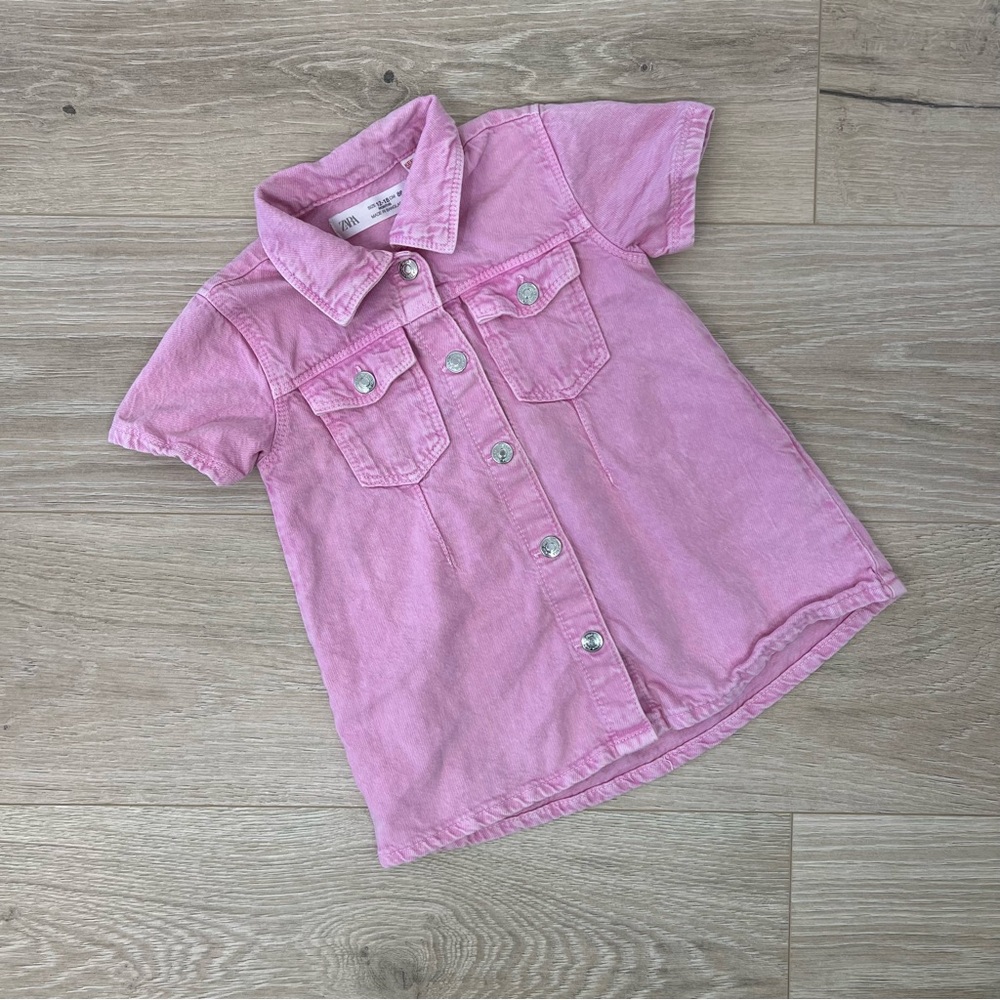 Zara Pink Snap Front Dress